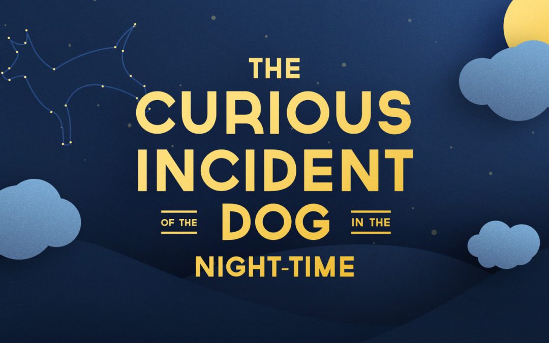 Unravel the Mystery in The Curious Incident of the Dog in the Night-Time!